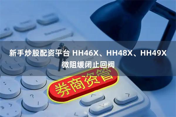 新手炒股配资平台 HH46X、HH48X、HH49X微阻缓闭止回阀