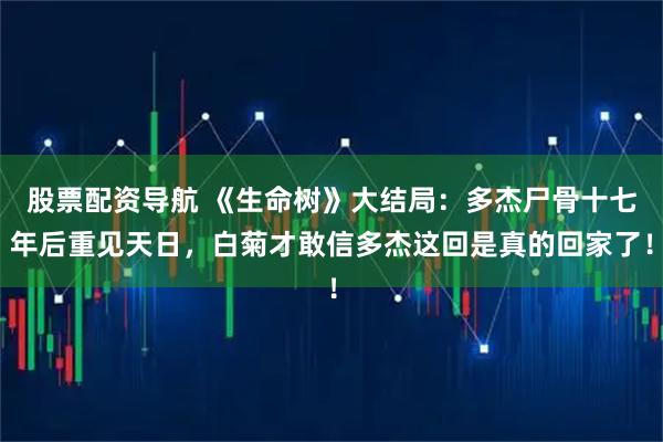 股票配资导航 《生命树》大结局：多杰尸骨十七年后重见天日，白菊才敢信多杰这回是真的回家了！