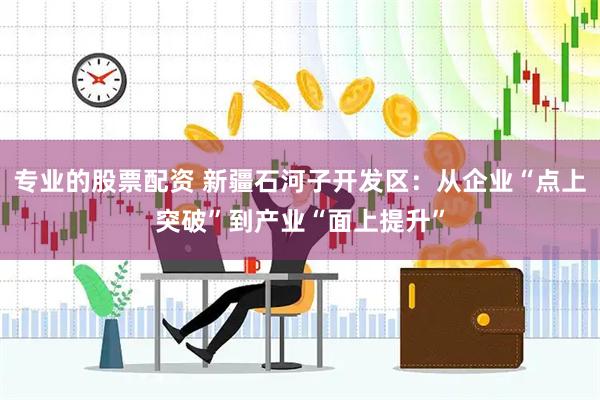 专业的股票配资 新疆石河子开发区：从企业“点上突破”到产业“面上提升”