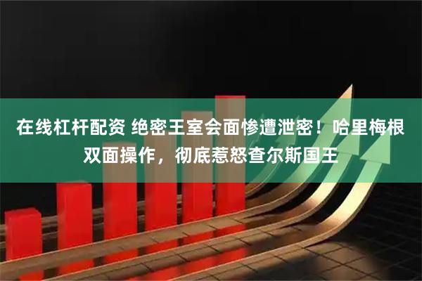 在线杠杆配资 绝密王室会面惨遭泄密！哈里梅根双面操作，彻底惹怒查尔斯国王